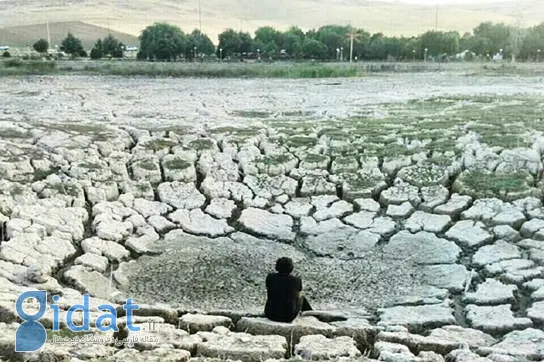 سراب نیلوفر